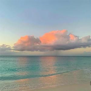 夜兰被丘丘人抓住繁衍后代
